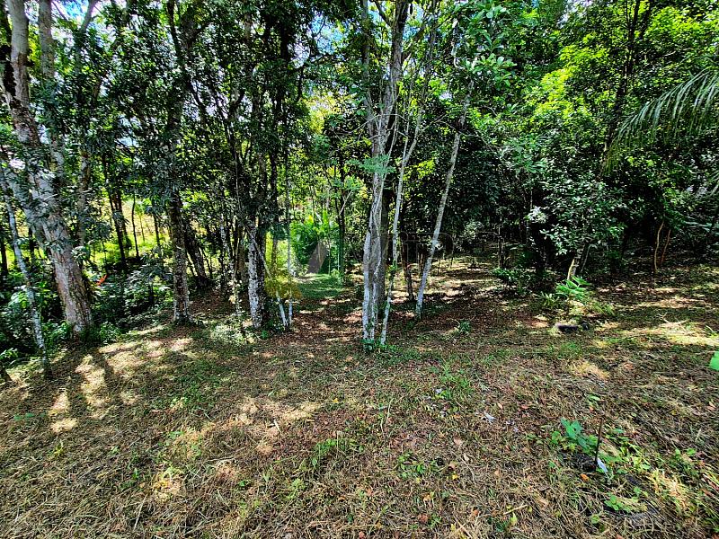 Bairro Brilhante II - 5.000 m² com casa - Itajaí/SC — foto 23