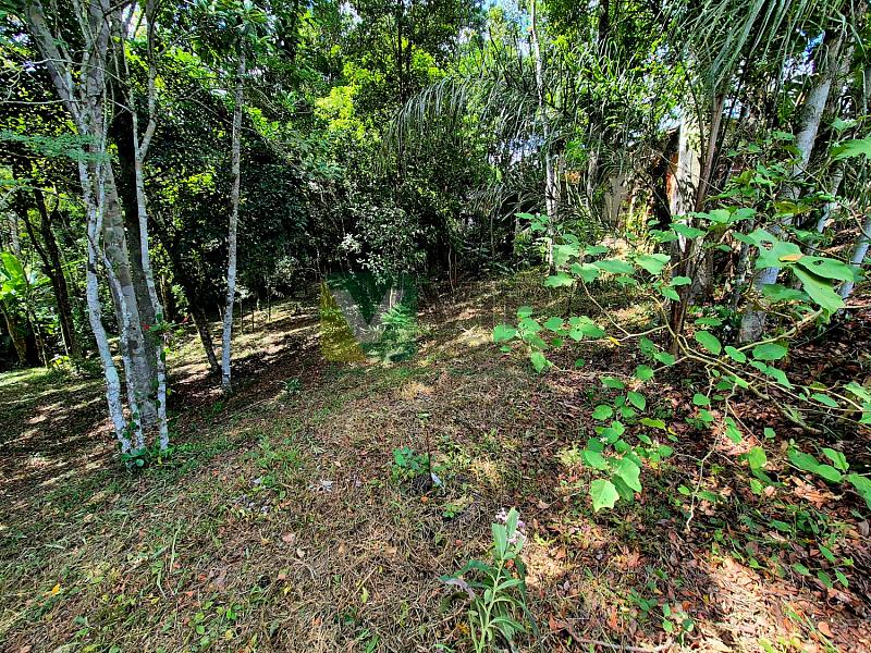 Bairro Brilhante II - 5.000 m² com casa - Itajaí/SC — foto 24