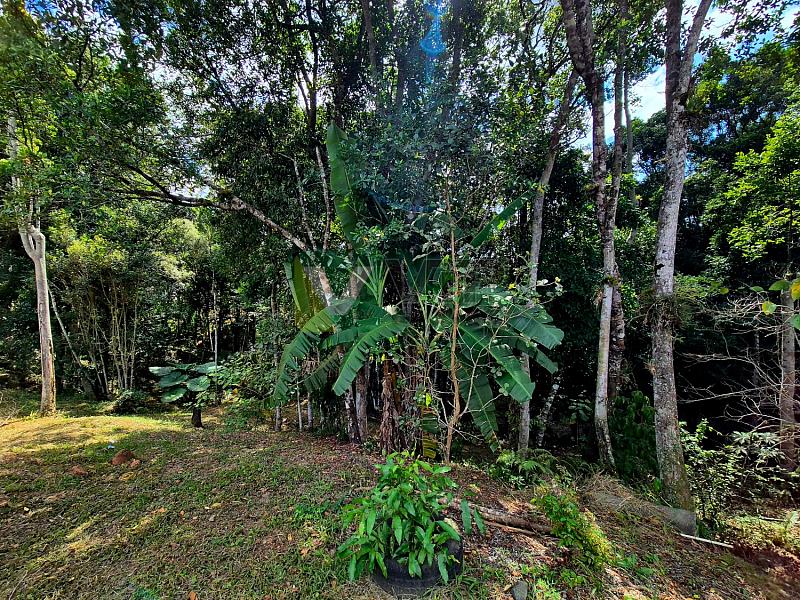 Bairro Brilhante II - 5.000 m² com casa - Itajaí/SC — foto 26