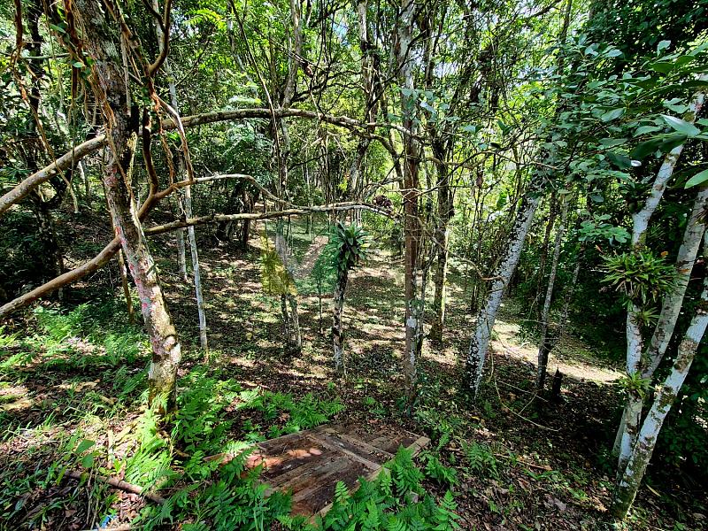 Bairro Brilhante II - 5.000 m² com casa - Itajaí/SC — foto 29