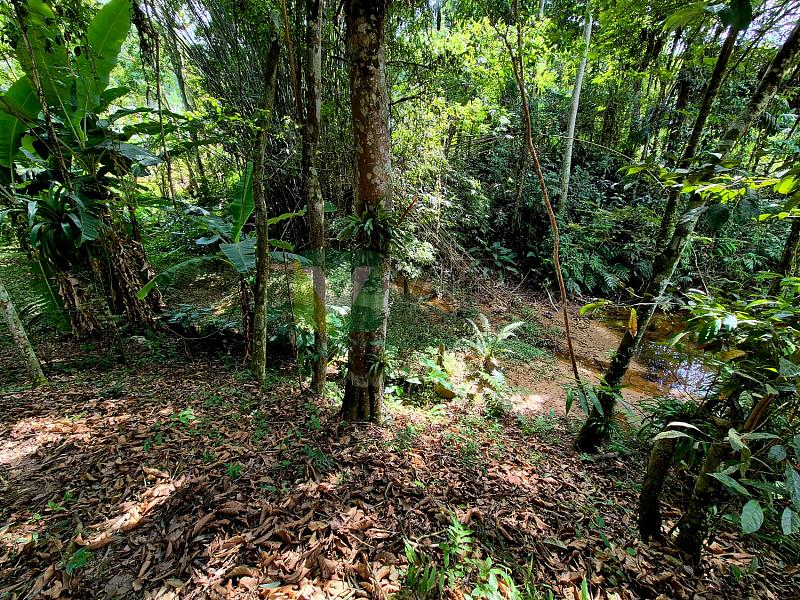 Bairro Brilhante II - 5.000 m² com casa - Itajaí/SC — foto 31