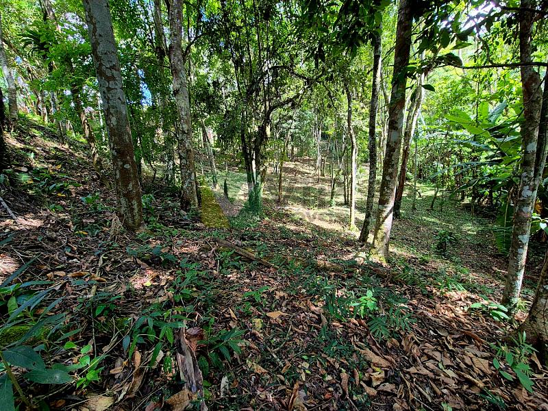 Bairro Brilhante II - 5.000 m² com casa - Itajaí/SC — foto 32