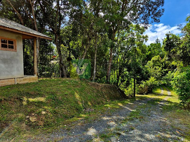 Bairro Brilhante II - 5.000 m² com casa - Itajaí/SC — foto 19